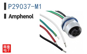 P29037-M1