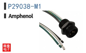 P29038-M1