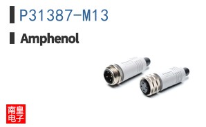 P31387-M13