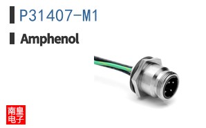 P31407-M1