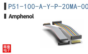 P51-100-A-Y-P-20MA-000-000