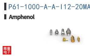 P61-1000-A-A-I12-20MA-C