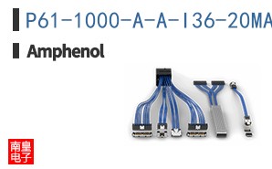 P61-1000-A-A-I36-20MA-A