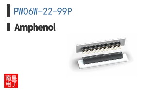 PW06W-22-99P