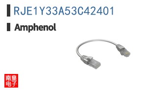 RJE1Y33A53C42401
