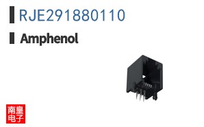 RJE291880110