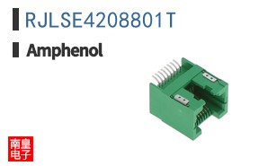RJLSE4208801T