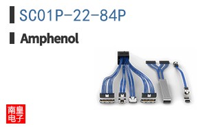 SC01P-22-84P