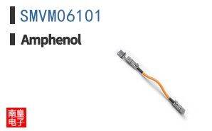 SMVM06101