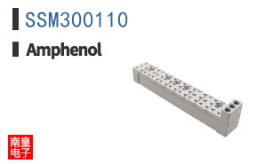 SSM300110