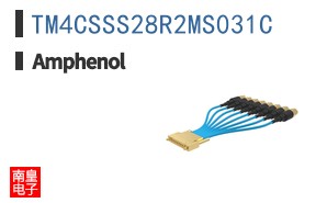 TM4CSSS28R2MS031C