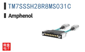 TM7SSSH28R8MS031C