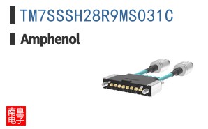 TM7SSSH28R9MS031C