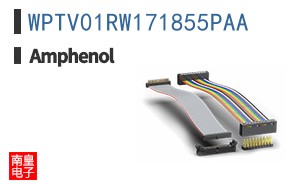 WPTV01RW171855PAA