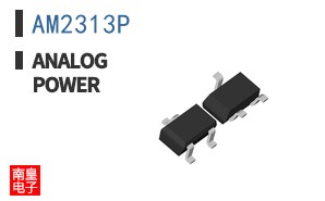 AM2313P
