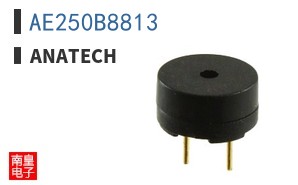 AE250B8813