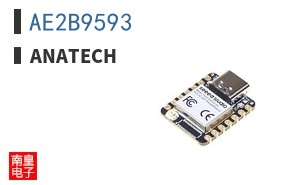AE2B9593