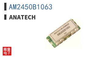 AM2450B1063
