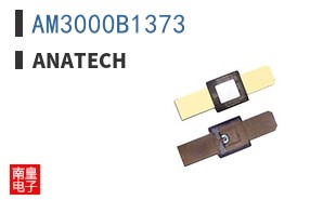 AM3000B1373
