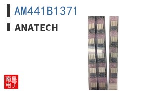AM441B1371
