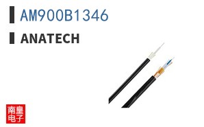 AM900B1346