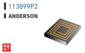 113899P2
