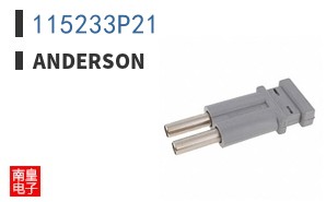 115233P21