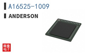 A16525-1009