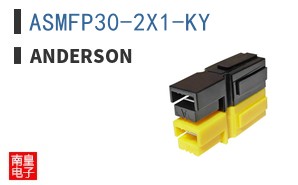 ASMFP30-2X1-KY