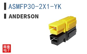 ASMFP30-2X1-YK