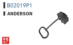 B02019P1
