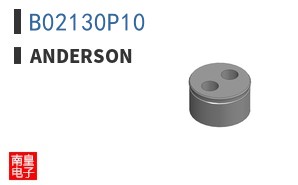 B02130P10