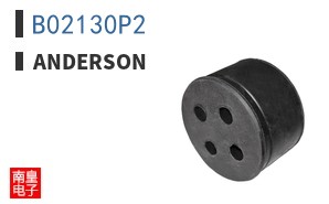 B02130P2