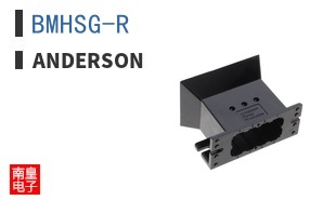 BMHSG-R