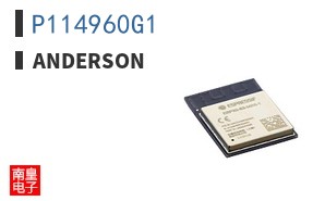 P114960G1