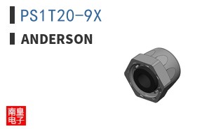 PS1T20-9X