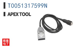 T0051317599N