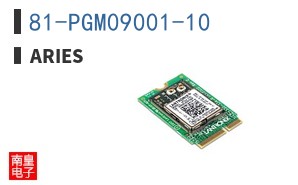81-PGM09001-10