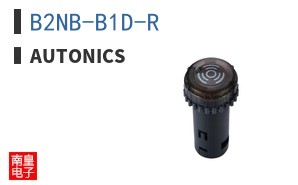 B2NB-B1D-R