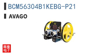 BCM56304B1KEBG-P21