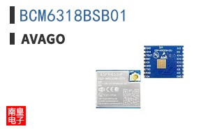 BCM6318BSB01