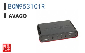 BCM953101R