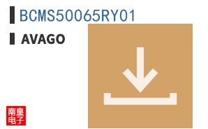 BCMS50065RY01