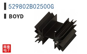 529802B02500G