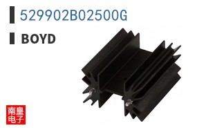 529902B02500G