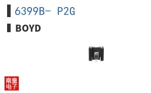 6399B- P2G