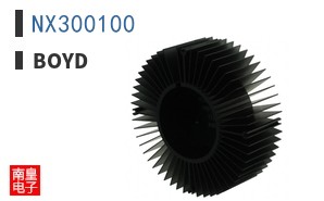 NX300100