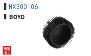 NX300106