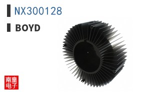 NX300128