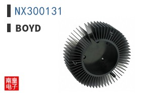 NX300131